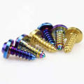 Ti6Al4V titanium self tapping screw self-tapping screw M5